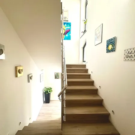 Apartment Nikola