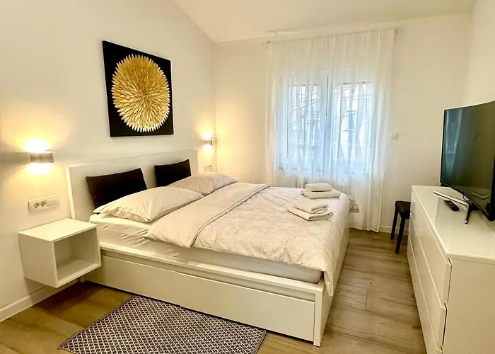 Nikola 茨里克韦尼察